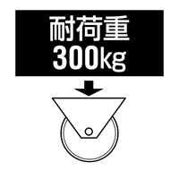 75mmキャスター(自在金具付･低床重荷重)_選択画像02