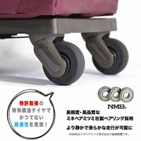 300x200x350(H)mm/17Lキャリーケース(黒)_選択画像03
