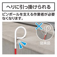 50cmピンボール(P型)_選択画像02