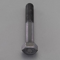M10x120mm[高強度･高張力]六角ボルト(1個)