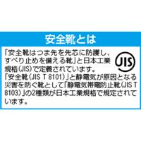 27.5cm安全靴(防災用/踏抜き防止)_選択画像03