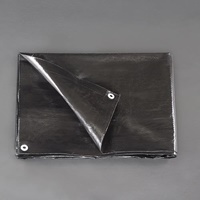 5.4x7.2m/0.18mmブラックシート(#2500/1枚)