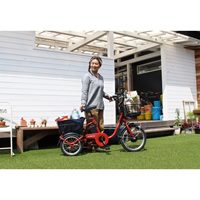 18インチ電動三輪自転車_選択画像04