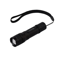 [単3x1本]フラッシュライト/LED