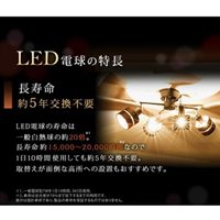 AC100V/3.5W/E26電球/LED(電球色)_選択画像02