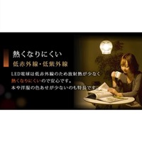 AC100V/3.5W/E26電球/LED(電球色)_選択画像04