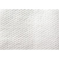 250x250工業用ワイパー(防塵室/100枚)_選択画像02