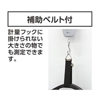 30kg(10g)デジタル吊りはかり_選択画像03