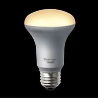 AC100V/6W/E26電球(LED/レフ形/電球色)_選択画像04