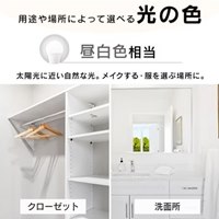 AC100V/11.8W/E26電球/LED(昼白色)_選択画像04