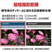 55-210mm望遠ズームレンズ(CANNON一眼レフ_選択画像02