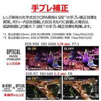 55-210mm望遠ズームレンズ(CANNON一眼レフ_選択画像03