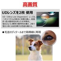 55-210mm望遠ズームレンズ(CANNON一眼レフ_選択画像04