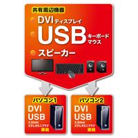 パソコン自動切替器(DVI対応/2:1)_選択画像04