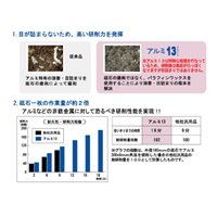 100x6mm/#36オフセット型砥石(アルミ用/5枚_選択画像02