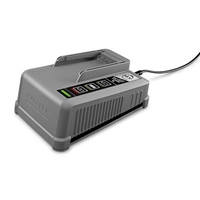 DC36.0V[業務用]充電器