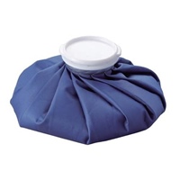 季節品)1100mL アイスバッグ