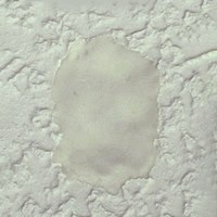 クロスの型どりキット_選択画像03