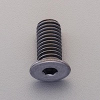 M6x12六角穴付ボルト(超低頭/SUS/黒/2本)