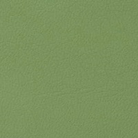 455x437x740折り畳み椅子(メッキ脚/緑)_選択画像02