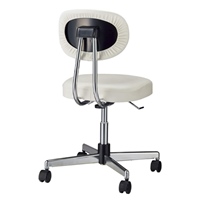 導電チェアー(ホワイト)_選択画像02