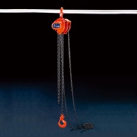 5.0tonx3.0mチェーンブロック