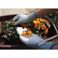 [LL]手袋(ポリウレタンコーティング)_選択画像04