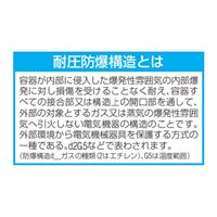 11W作業灯/ＬＥＤ(耐圧防爆型)_選択画像02