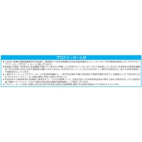 24.0cmプロスニーカー_選択画像02