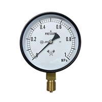 G 3/8 in/ 75mm/0-2.0MPa 蒸気用圧力計