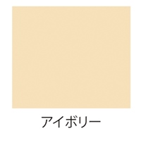 0.7L[水性]多用途塗料(鉄･木部用/アイボリ_選択画像02