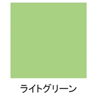 300ml 水性多用途スプレー(ライトグリーン)_選択画像02