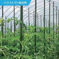 φ26x4000mm 超ロング支柱(イボ付/10本)_選択画像03