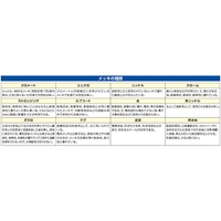 45x22.3mm パッチン(2個)_選択画像03