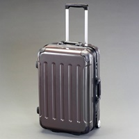 480x300x700(H)mm/100L キャリーケース