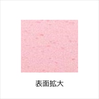 170x105x40mm 浴そう洗いスポンジ(10個)_選択画像03