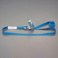 25mmx5.0m/509kgベルト荷締機(エンドレス)
