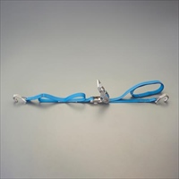 25mmx3m/254kgベルト荷締機(両端フック/SUS