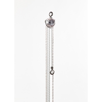 80kgx2.5m チェーンブロック_選択画像02