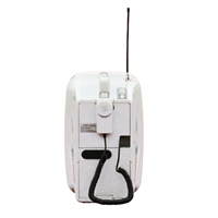 30W メガホン(ショルダー型)_選択画像02