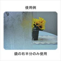 260g ガラス洗浄剤(コーティング剤入)_選択画像03