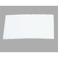 プレフィルター(3Mアドフロー用/5枚)