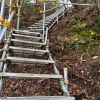 250x620自在ステップ(全回転式エキスパンド_選択画像04