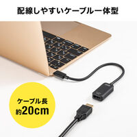 USB変換アダプター(TypeC-HDMI/DPAlt対応)_選択画像04