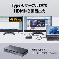 USB TypeCドッキングステーション(2画面LAN_選択画像03