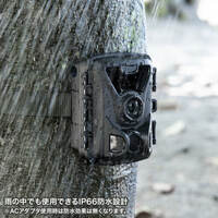 [単3x4本]　センサー付暗視カメラ(防水型)_選択画像02