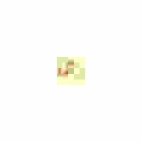 パイプラック用クロスメタルジョイント(2組_選択画像02