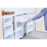 400x550x200mm 引出し式収納ケース(2個)_選択画像03