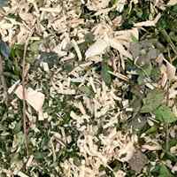 AC100V/1500W ガーデンシュレッダー(電動)_選択画像04