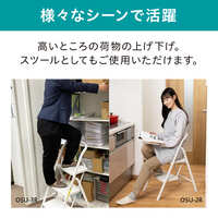 400x600x960mm 踏台(ワイドステップ)_選択画像03